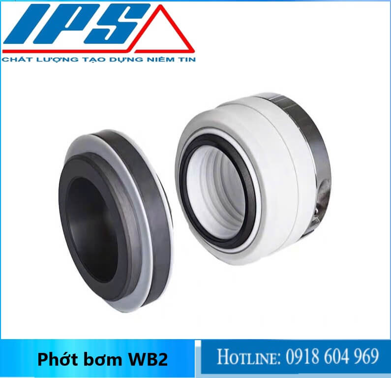 Phớt  WB2 -9(1)